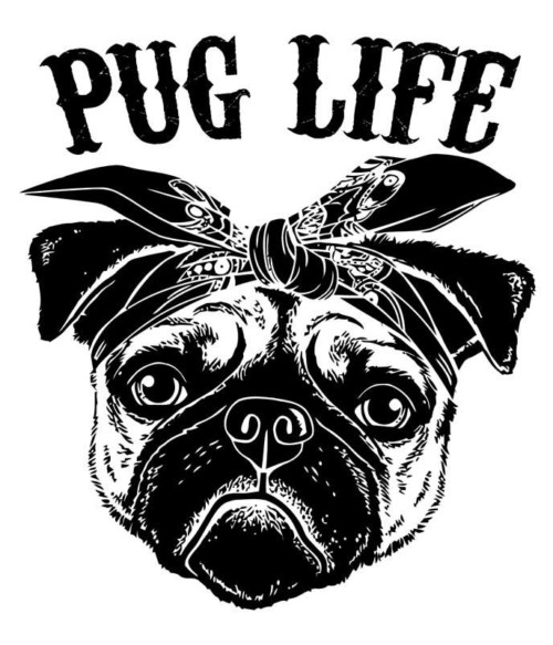 Pug life Póló - Ha Dog rajongó ezeket a pólókat tuti imádni fogod!