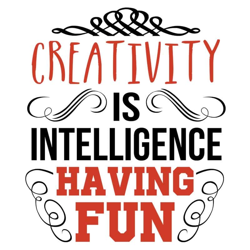 Creativity is intelligence having fun