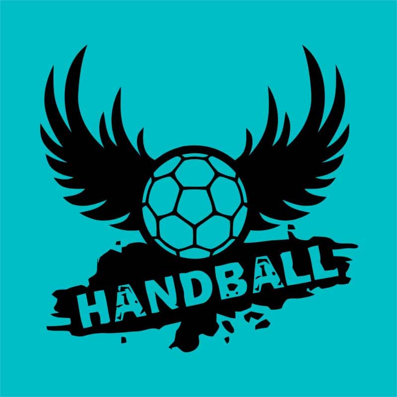 Handball Wings