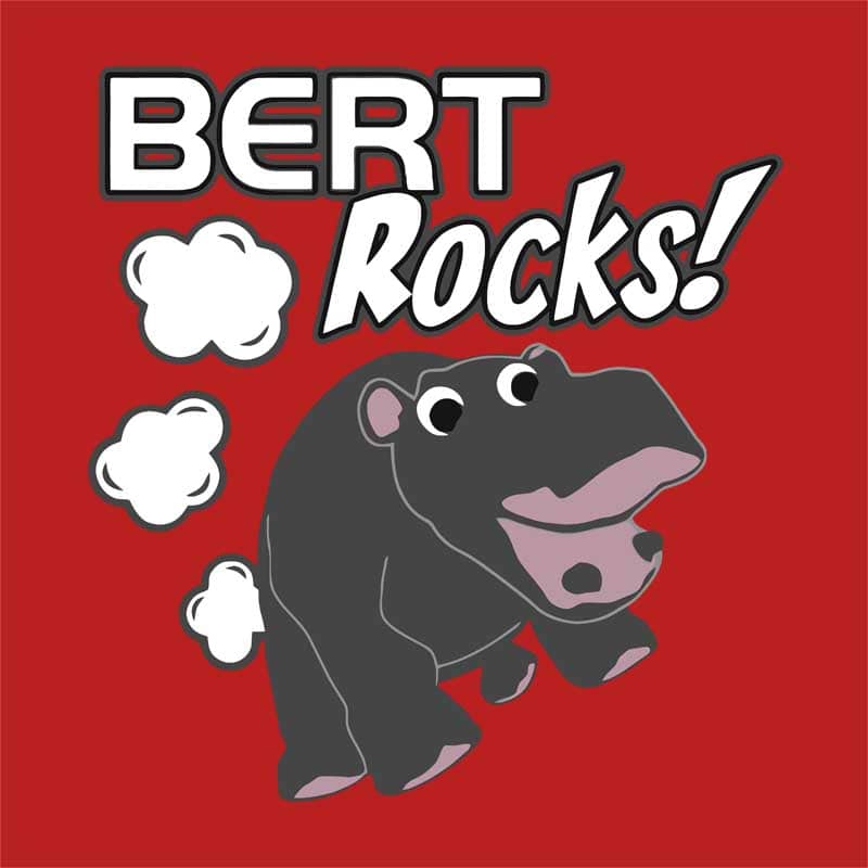 Bert rocks