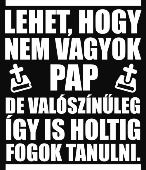 Holtig fogok tanulni Póló - Ha Study rajongó ezeket a pólókat tuti imádni fogod!