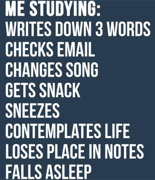 Me studying Póló - Ha Study rajongó ezeket a pólókat tuti imádni fogod!