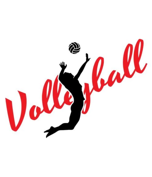 Volleyball silhouette Póló - Ha Volleyball rajongó ezeket a pólókat tuti imádni fogod!