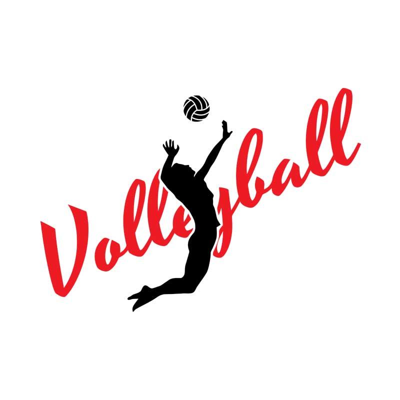Volleyball silhouette