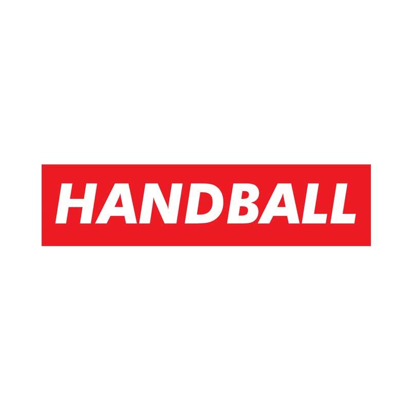 Handball Supreme Logo