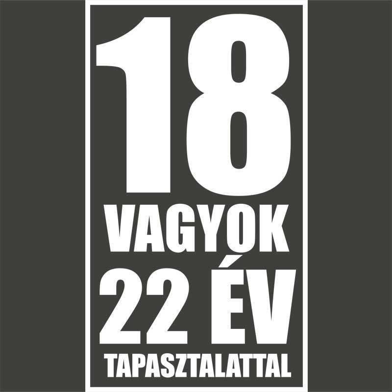 22 év tapasztalat