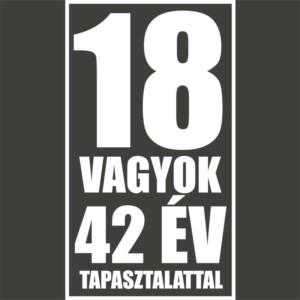 42 év tapasztalat - Unisex Farmerkabát