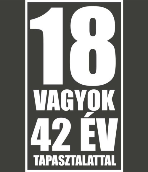 42 év tapasztalat Póló - Ha Birthday rajongó ezeket a pólókat tuti imádni fogod!