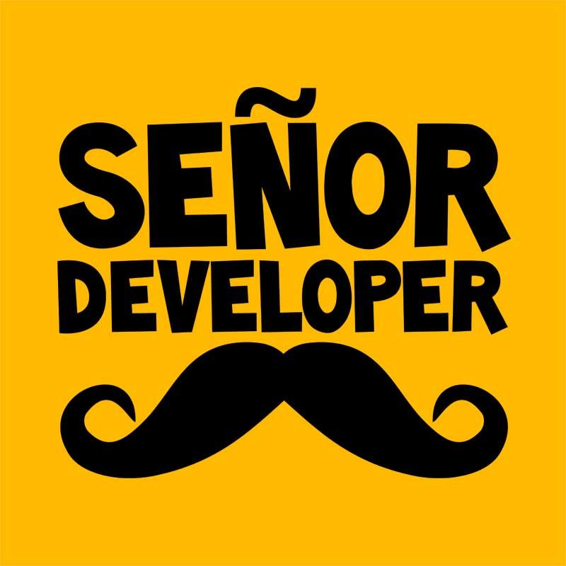 Senor developer