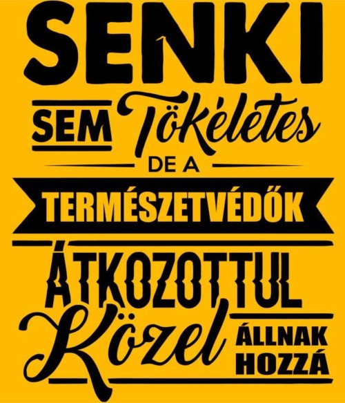 Senki sem tökéletes