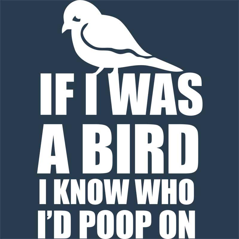 If I was a bird