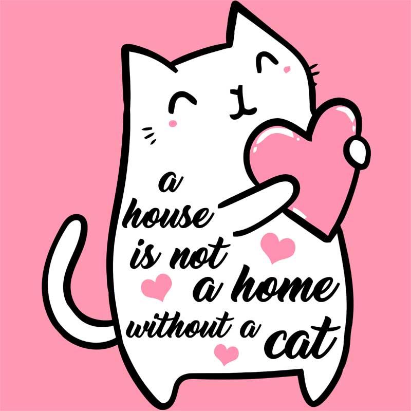 A house is not a home without a cat