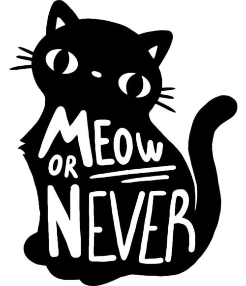 Meow or never Póló - Ha Cat rajongó ezeket a pólókat tuti imádni fogod!