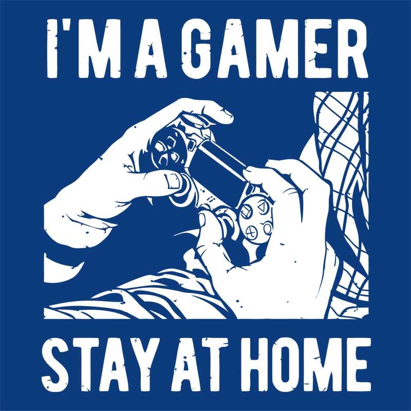 I'm a gamer