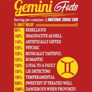 Gemini facts - Unisex Farmerkabát