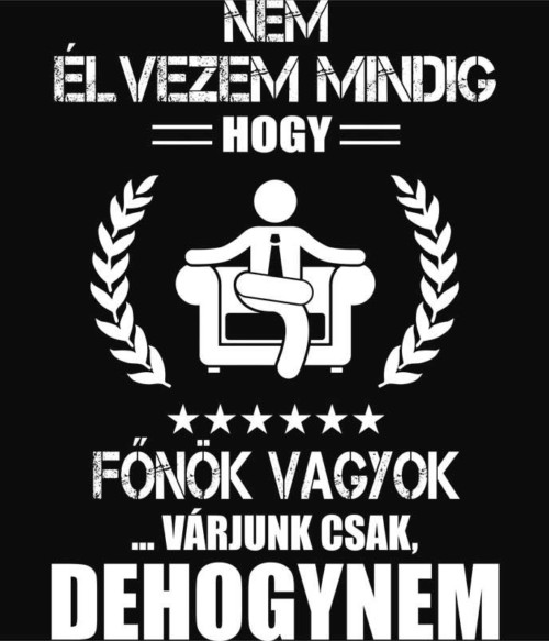 Nem mindig élvezem - főnök Póló - Ha Boss rajongó ezeket a pólókat tuti imádni fogod!