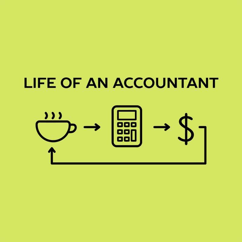 Life of an accountant