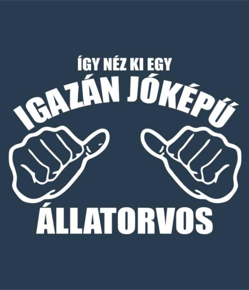 Jóképű állatorvos Póló - Ha Veterinary rajongó ezeket a pólókat tuti imádni fogod!