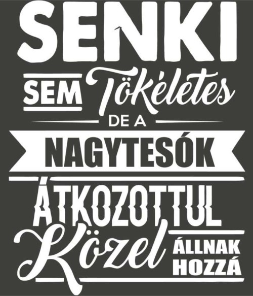 Senki sem tökéletes - nagytesó Póló - Ha Family rajongó ezeket a pólókat tuti imádni fogod!