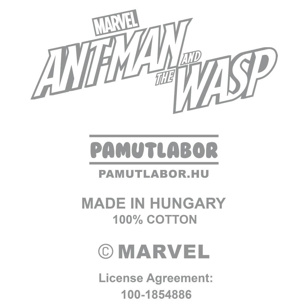 1-Ant-Man and the Wasp - Main image