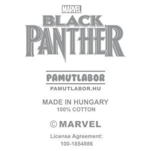 2-Black Panther 2018 - Design preview