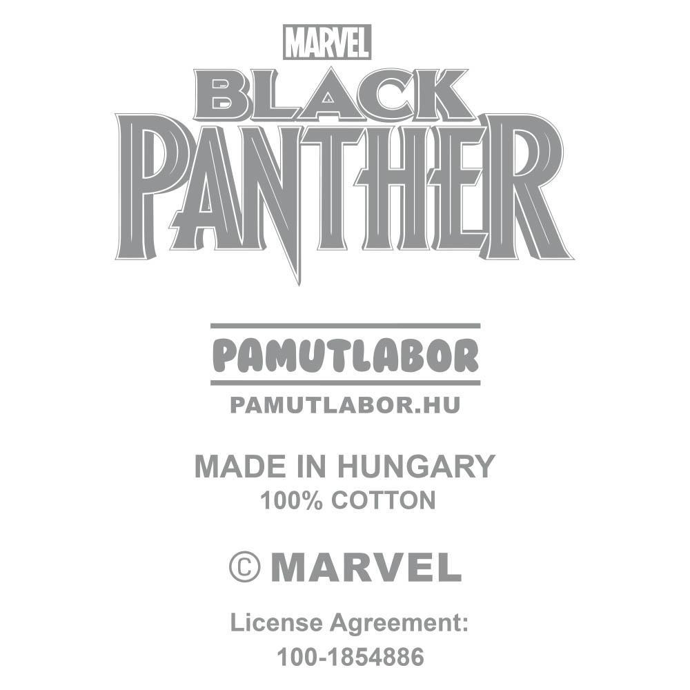 2-Black Panther 2018 - Main image