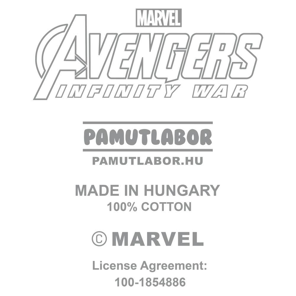 5-Infinity war - Main image
