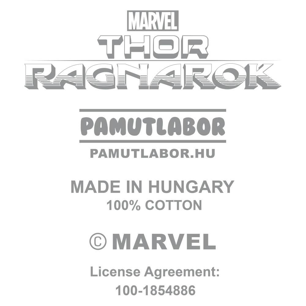 8-Thor Ragnarok - Main image