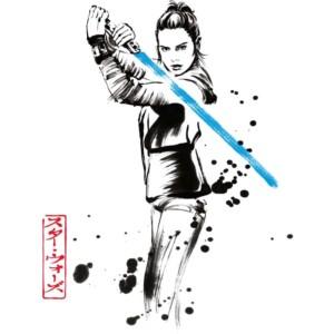 Fighting Rey - Design preview