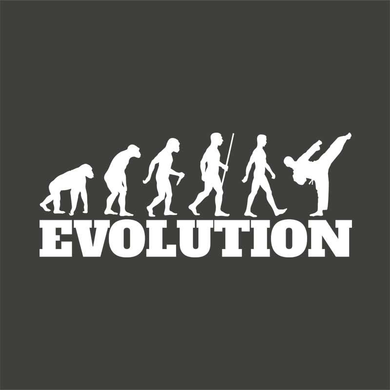 Karate evolution
