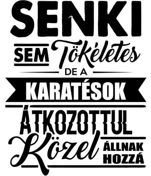 Senki sem tökéletes - karate Póló - Ha Karate rajongó ezeket a pólókat tuti imádni fogod!