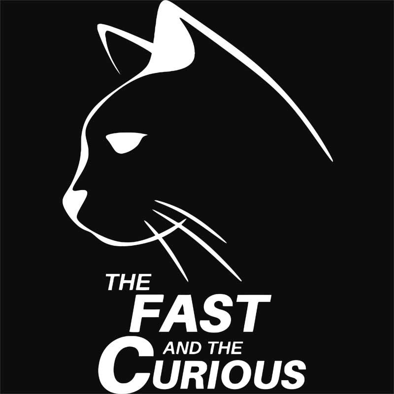 Fast and curious