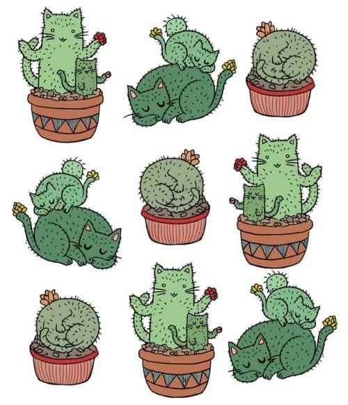 Kitty cactus Póló - Ha Cat rajongó ezeket a pólókat tuti imádni fogod!