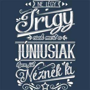 Ne légy Irigy Június - Unisex Farmerkabát