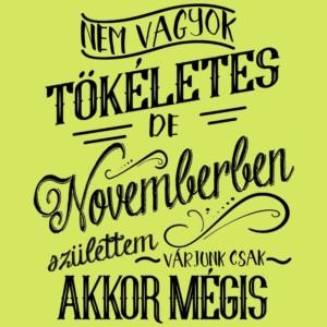 Nem vagyok tökéletes, de Novemberben születtem - Unisex Farmerkabát