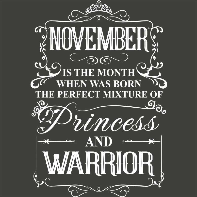 Princess Warrior November
