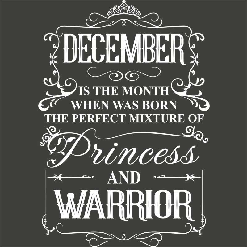 Princess Warrior December