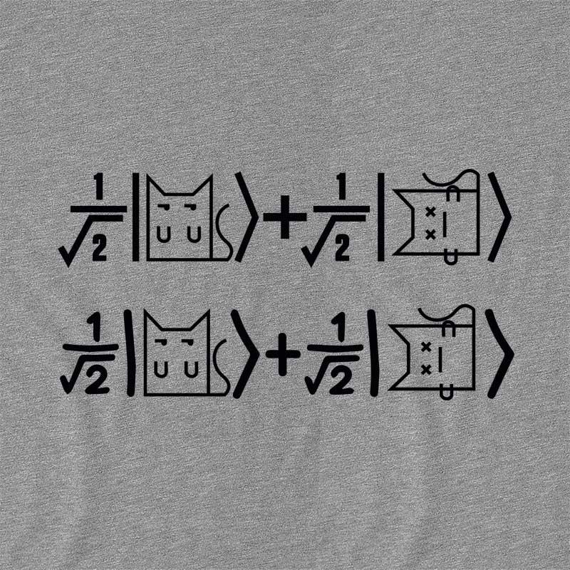 Schrödinger's cat equation