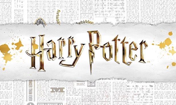 Harry Potter Pólók