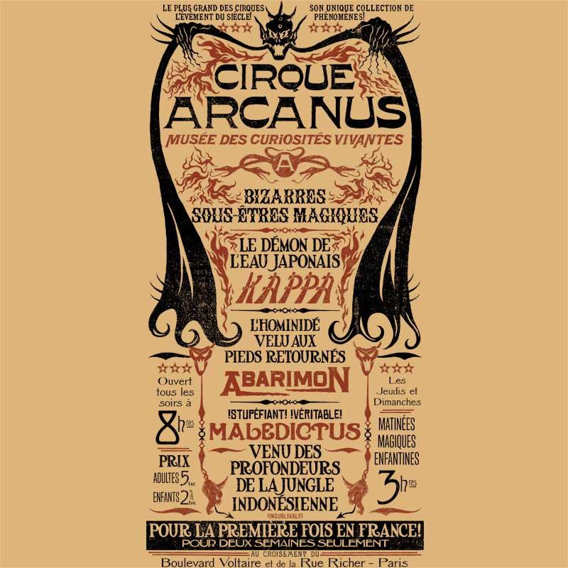Cirque Arcanus