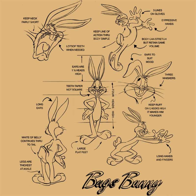 Bugs Bunny Anatomy