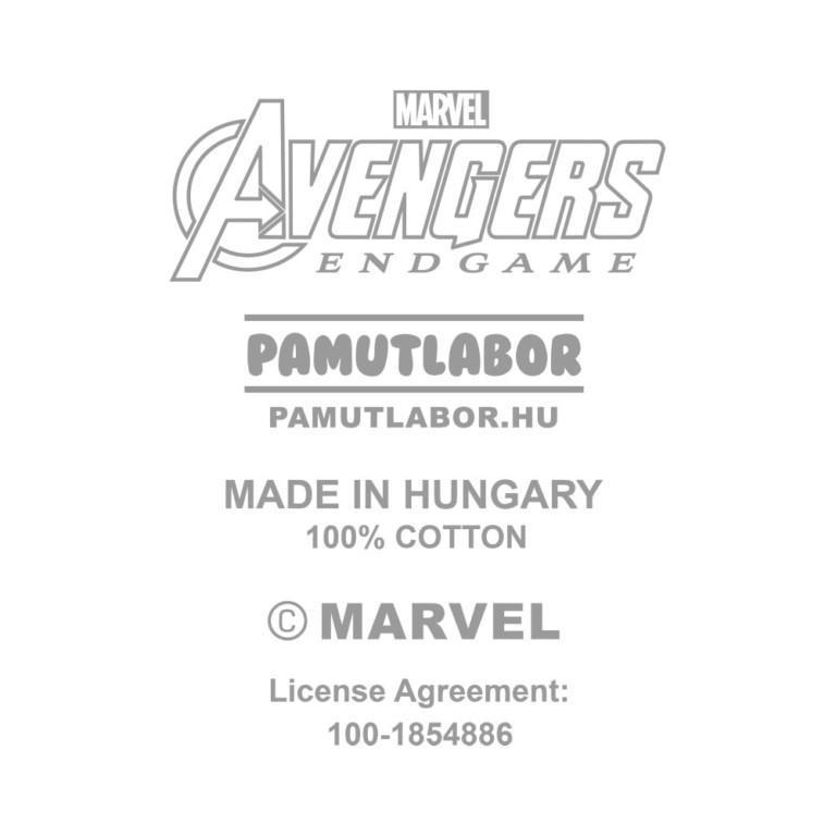 36-Avengers: Endgame Heatseal - Main image