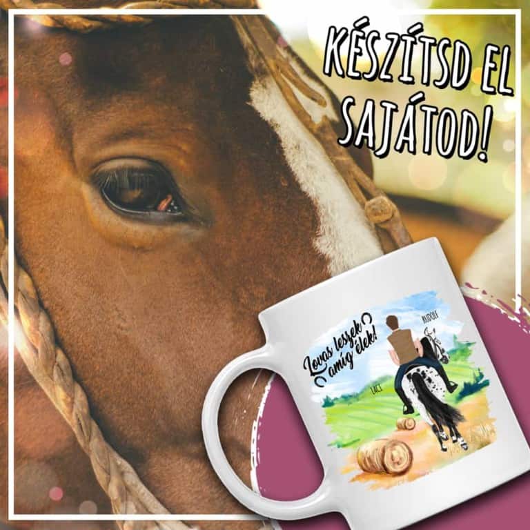 Lovas férfi nyári mezőn - MyLife