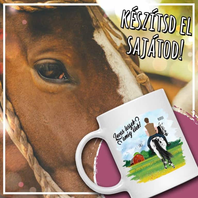 Lovas férfi tavaszi mezőn - MyLife