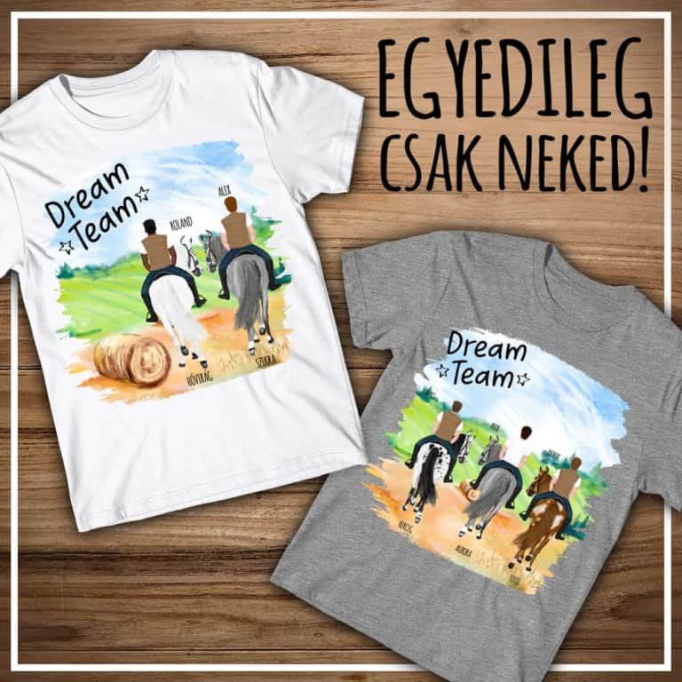 Lovas férfi nyári mezőn - MyLife
