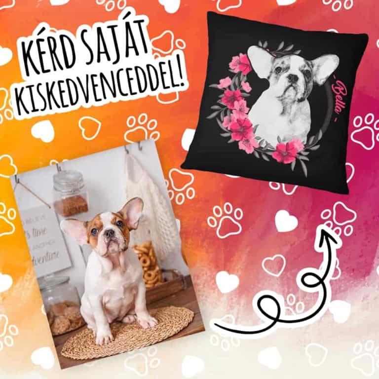 Pet with flower frame - MyLife Plus