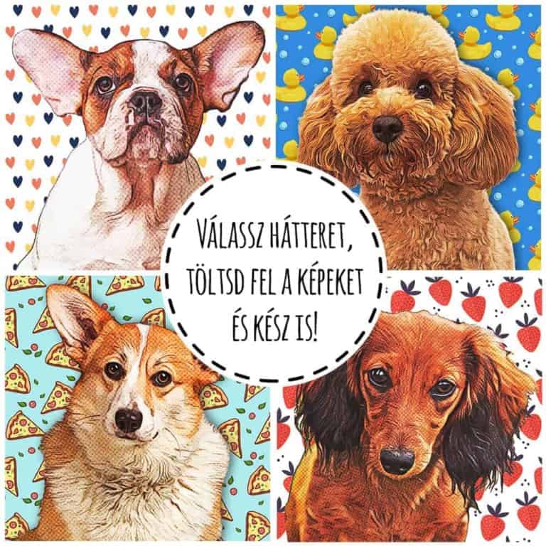 Pet with pattern - MyLife Plus