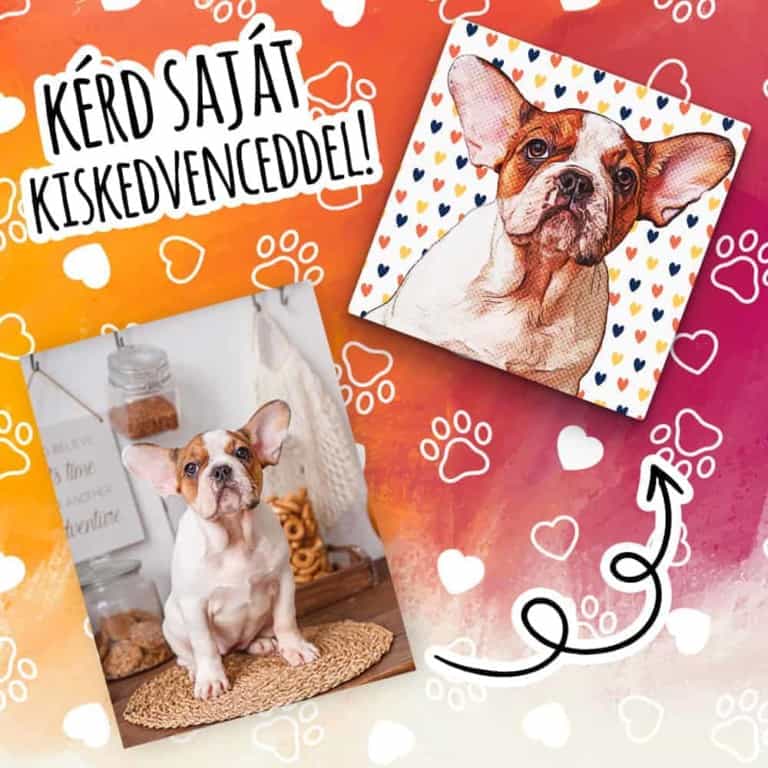 Pet with pattern - MyLife Plus