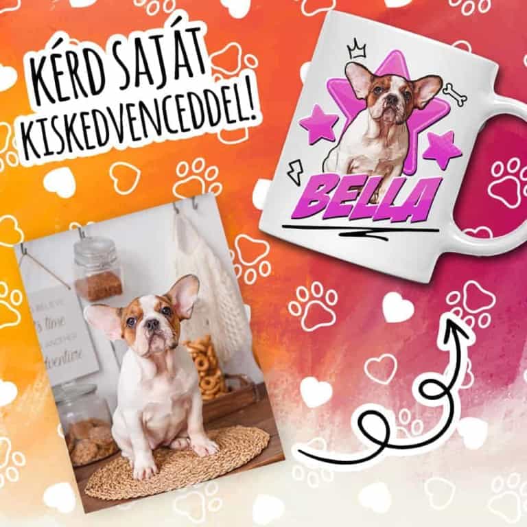 Pet with stars - MyLife Plus