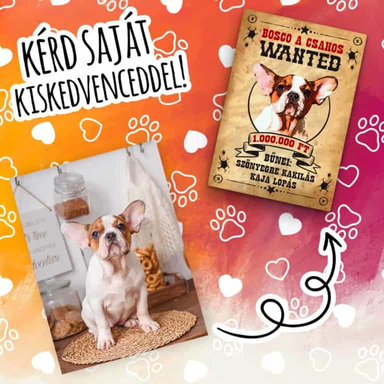 Pet Wanted - MyLife Plus
